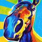 California Horsie thumbnail