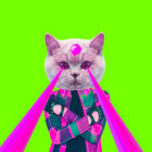 Queen Bee thumbnail
