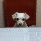lalo thumbnail