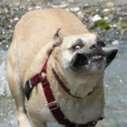 PeggyO thumbnail