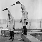 CLASSICS 1994-1999 | サイケアウツ | Stereo Records