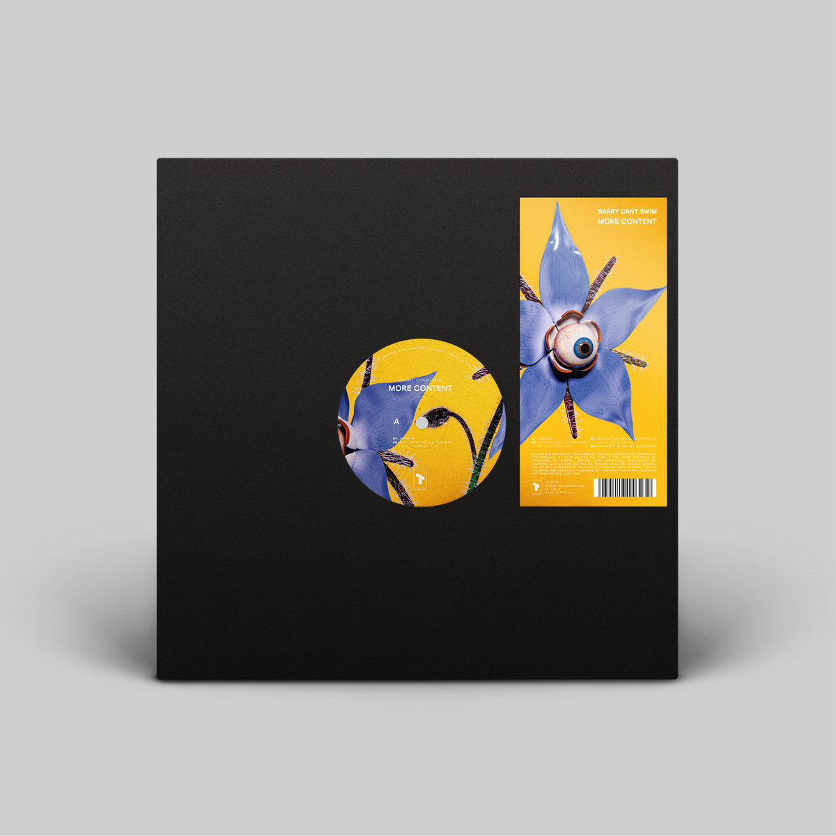 More Content Barry Can't Swim