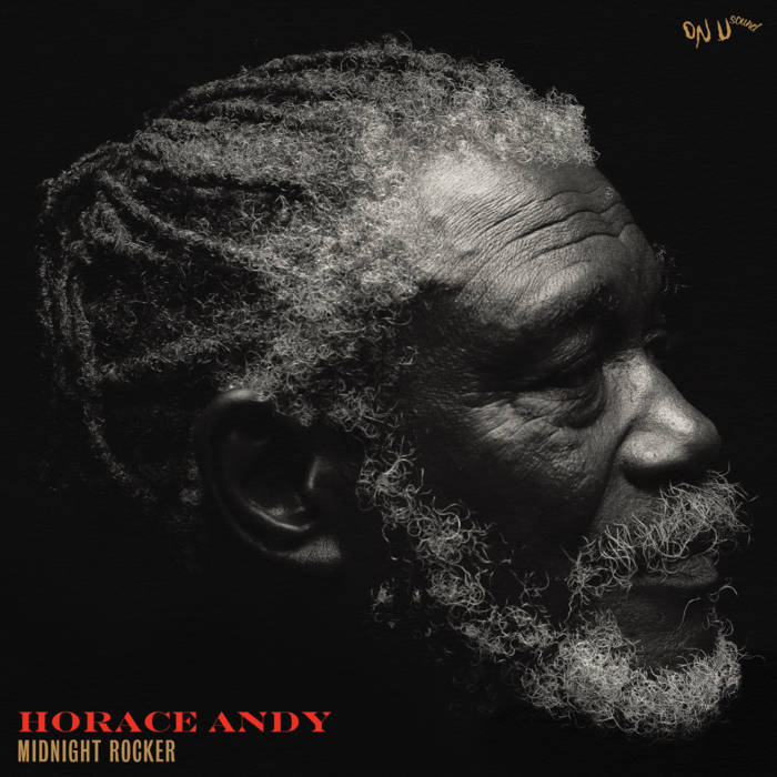 メロハー,AOR◆ANDY ROCK/THIS TIME Horace Andy, “Midnight Rocker” | Bandcamp Daily