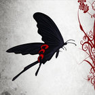voidness thumbnail