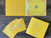 Physarum Series 1 Compact Disc photo 
