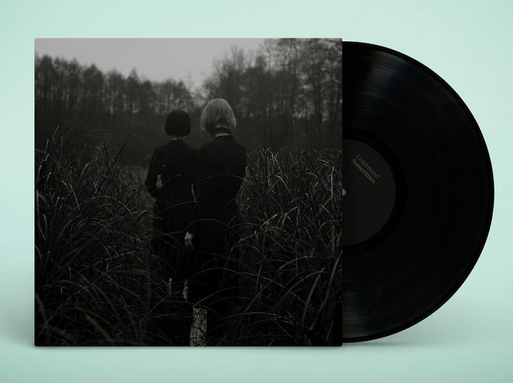 新品未開封SOMETIMES レコード GOLDMUND ゴールドムンド Sometimes | Goldmund