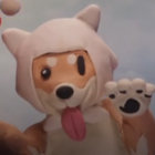 sharpiepaws thumbnail