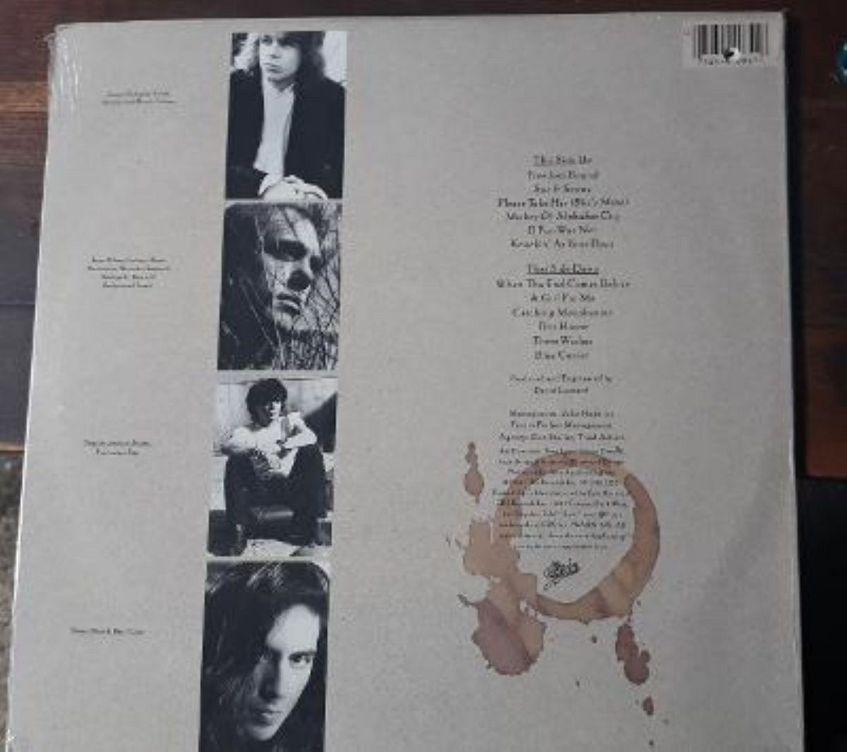 The RaveUps The Book of Your Regrets vinyl LP The RaveUps Jimmer