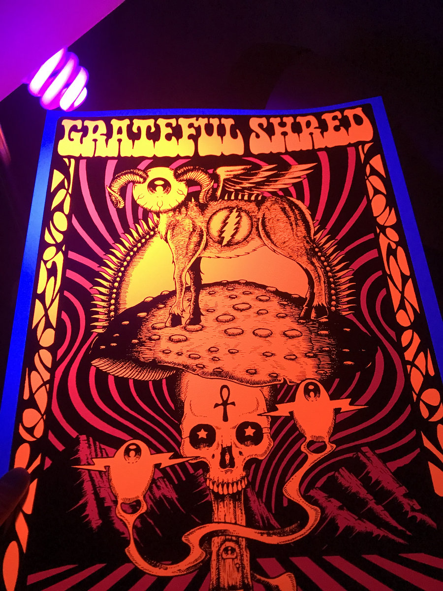 Alan Forbes CO Sacred Mushroom Mountain 2022 Silkscreened Poster