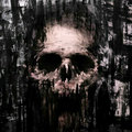 FallCrow image