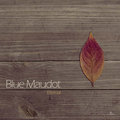 Blue Maudot image