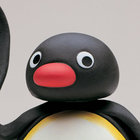 forest_penguin thumbnail