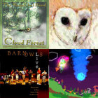 Cloud Forest | The Barn Owl Band