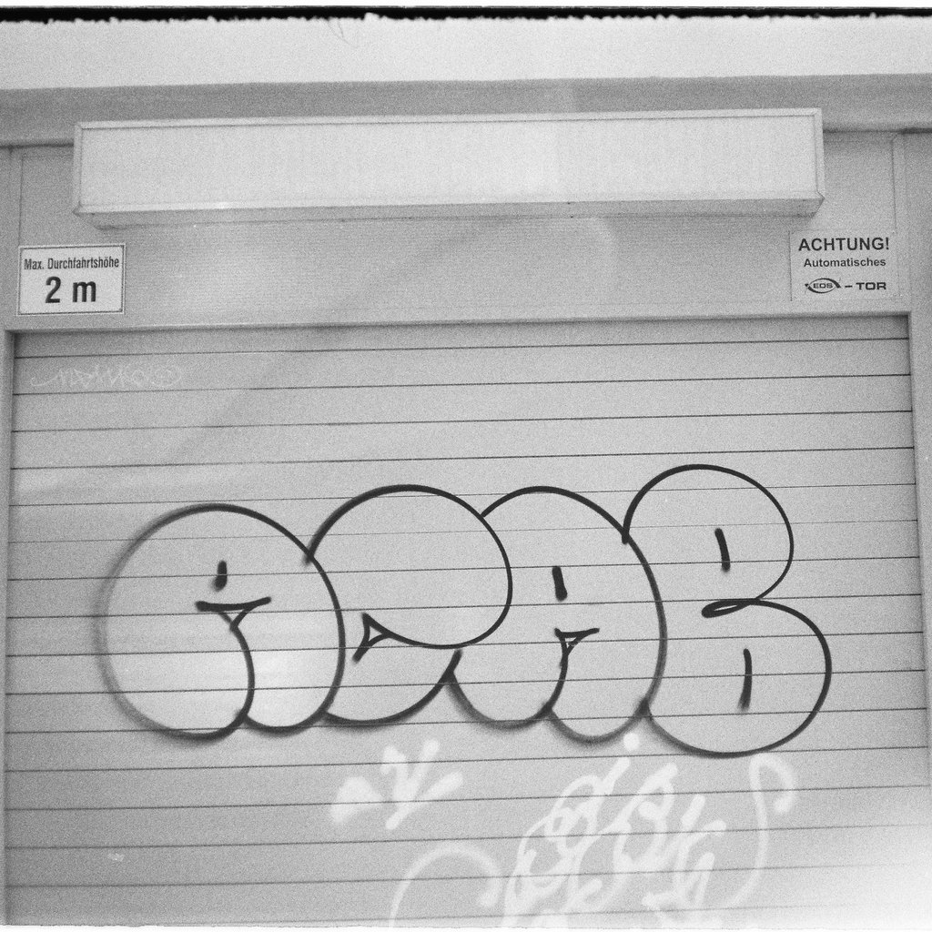 seal_is_real's collection Bandcamp