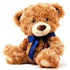 Teddy1001 thumbnail