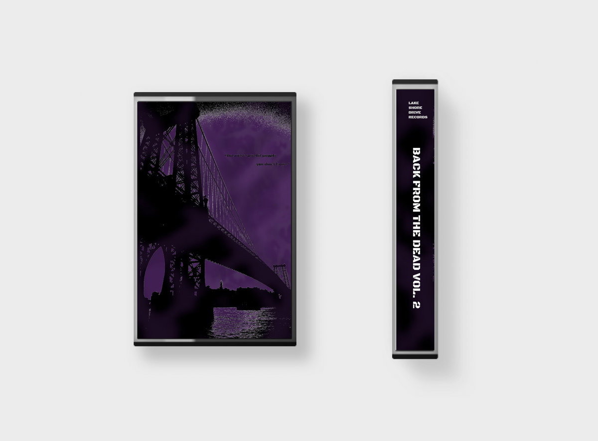 Back From The Dead Vol. 2 (LSD011) | Various Artists | Lake