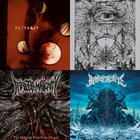 【ラプンツェル様用】INFECTED MALIGNITY / The Mali他 The Malignity Born From Despair | Infected Malignity