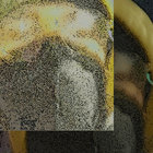 tajfan thumbnail