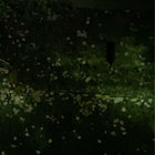うー thumbnail