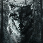 GreyWolf thumbnail