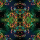 rovemusic thumbnail