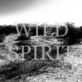 WILD SPIRIT image