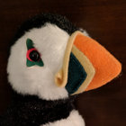 tinypuffin thumbnail