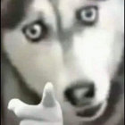 cwfeage thumbnail