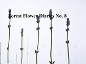 Forest Flower Diaries (Entries 6 - 9) photo 