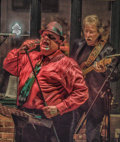The Mark DuFresne Band image