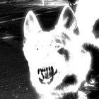 j0e.art thumbnail