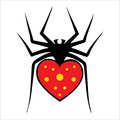 Red Recluse image