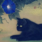 Vlexis thumbnail