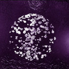 guofeng428 thumbnail