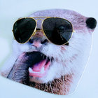 Eric thumbnail