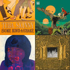 The Sojourner | THE ENSEMBLE AL-SALAAM | P-VINE RECORDS
