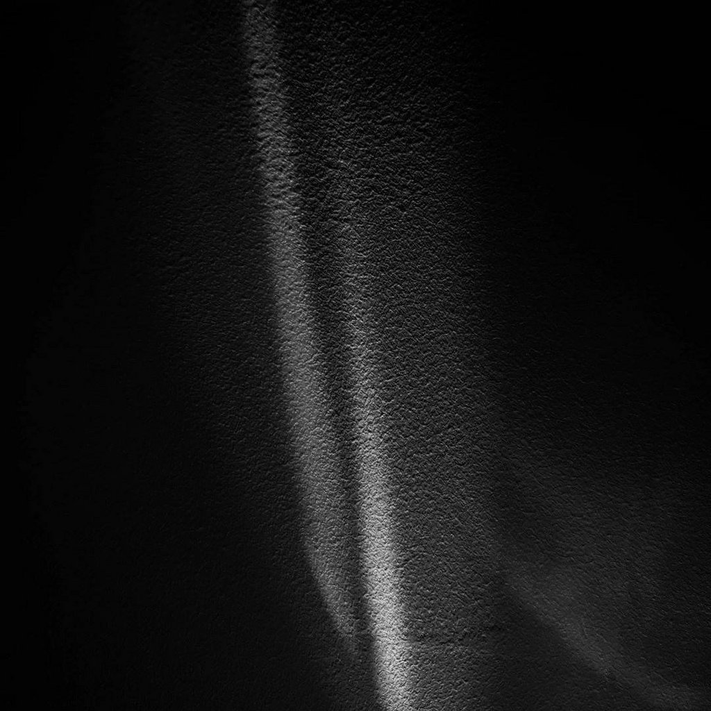 nofuncle-s-collection-bandcamp