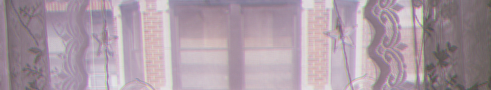 Precocious Neophyte — Photo