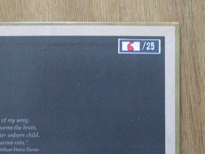 A Point Of View | Bobby Cole | perfecttoyrecords