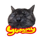 tommonkey thumbnail