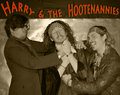 Harry & the Hootenannies image