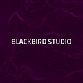 BlackBird Sound Effects image