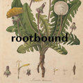 rootbound image