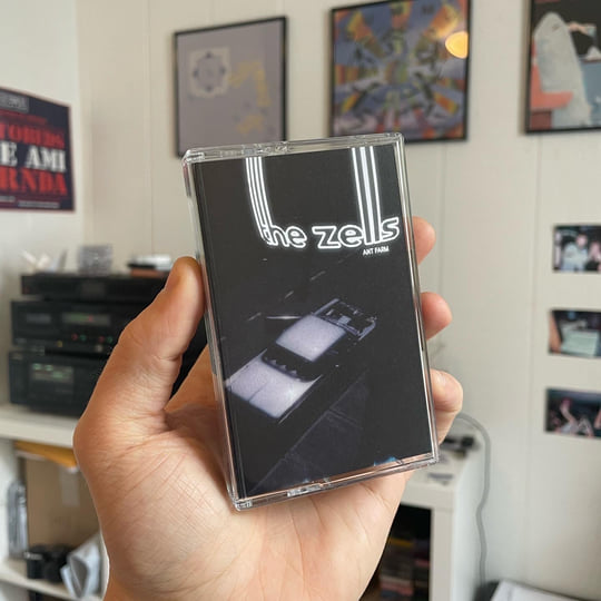 the Fuzz CDセット　JILS　Vasalla　舜 Ant Farm | The Zells