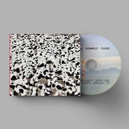 Stella Donnelly/FLOODカラー盤LP＋サイン入りカード Stella Donnelly/FLOODカラー盤LP＋サイン入りカード - メルカリ