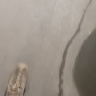 Joe Bristow thumbnail