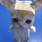 Tormint2 thumbnail