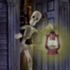 sen thumbnail