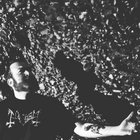 kupferbaertiger thumbnail