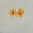 outpore thumbnail